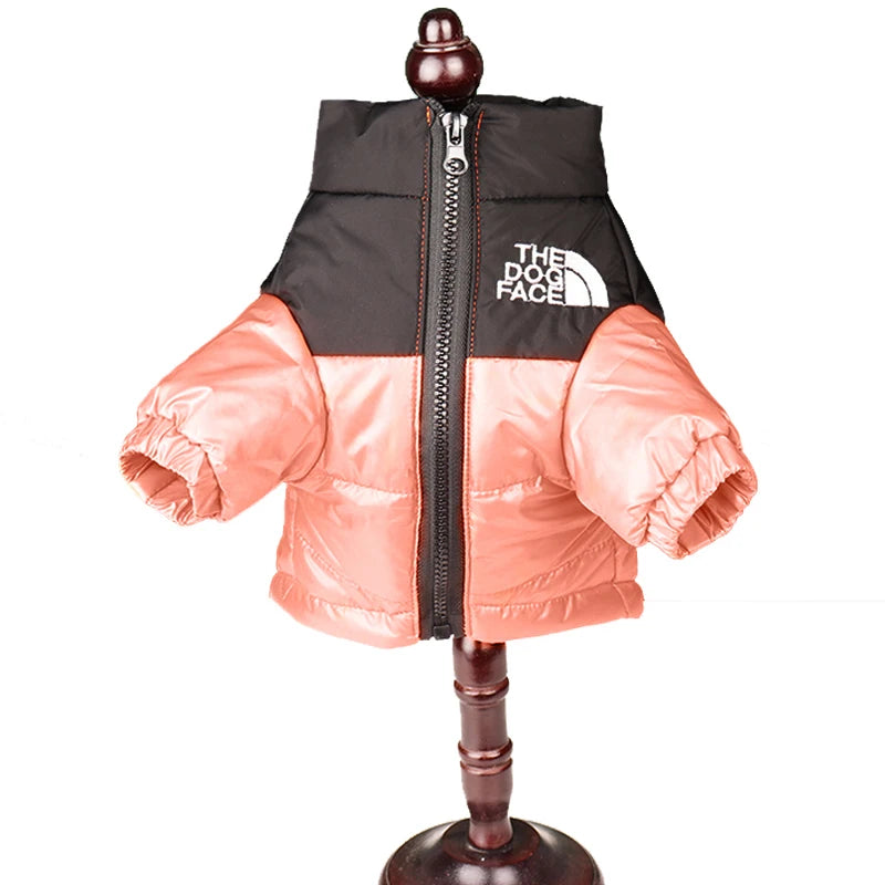 Windproof Jacket