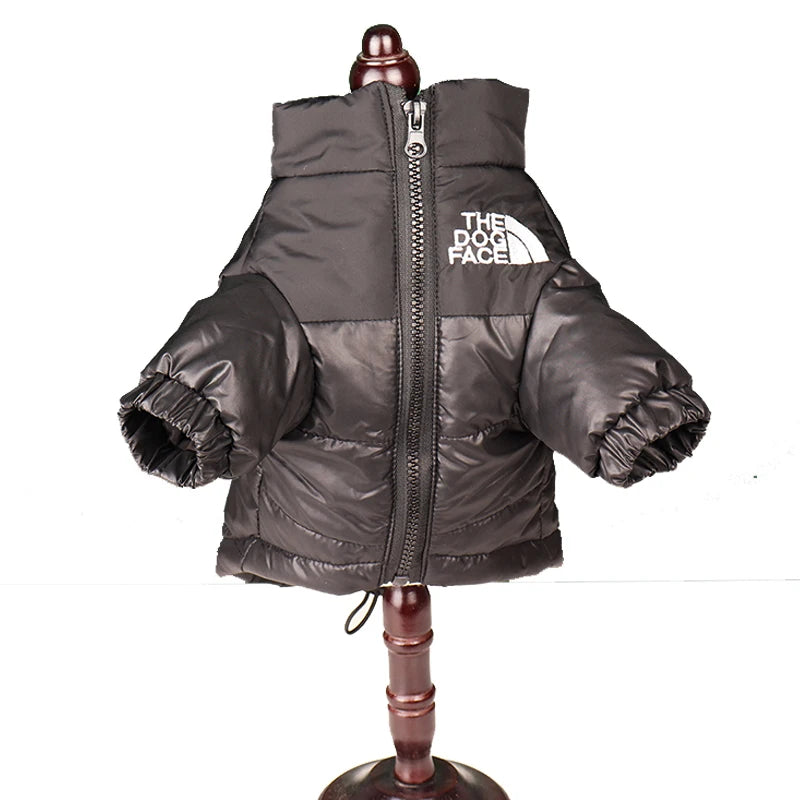 Windproof Jacket