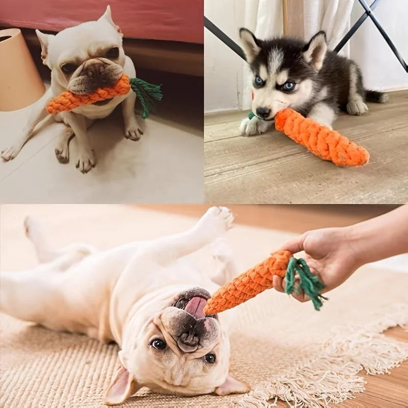 Carrot toy