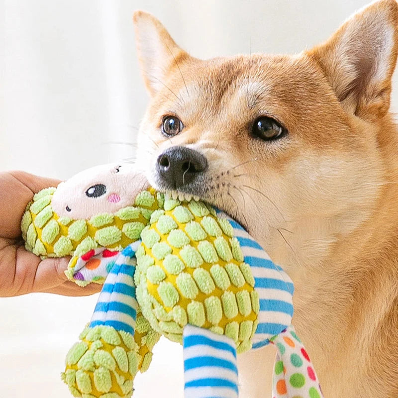 Bera toy