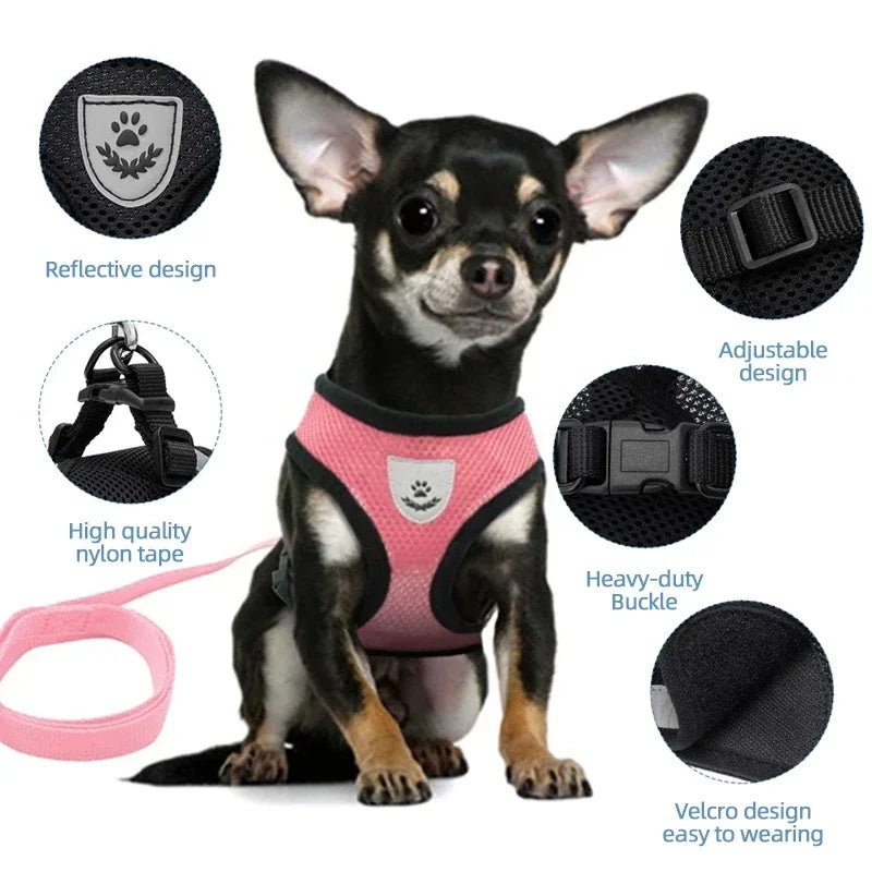 Walking Lead Leash