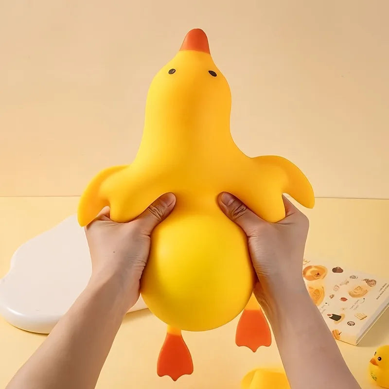 Duck Fidgets Toys