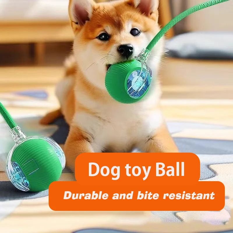 Interactive Ball