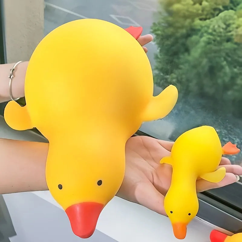 Duck Fidgets Toys