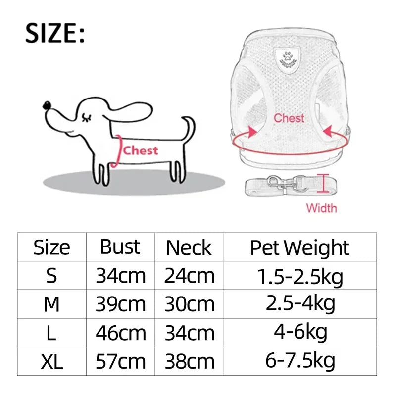 Walking Lead Leash