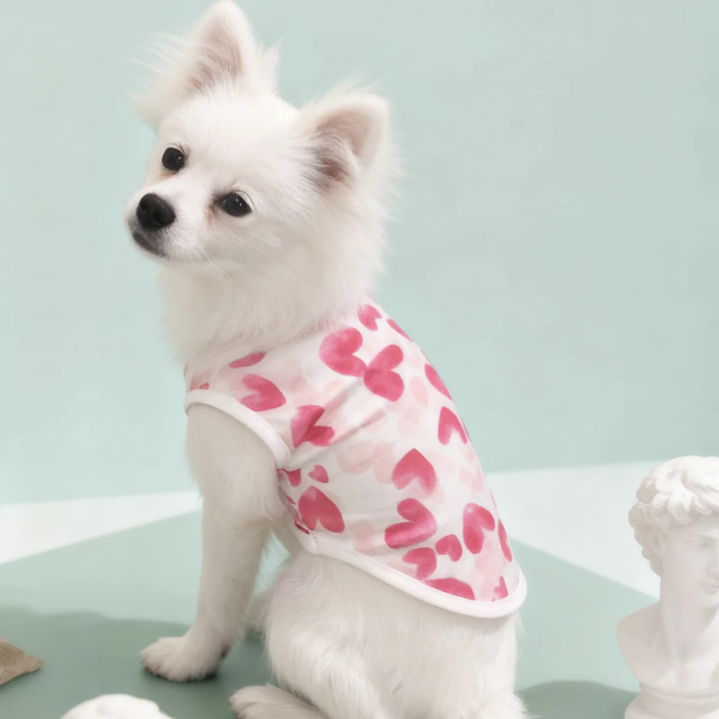 Dog Vest