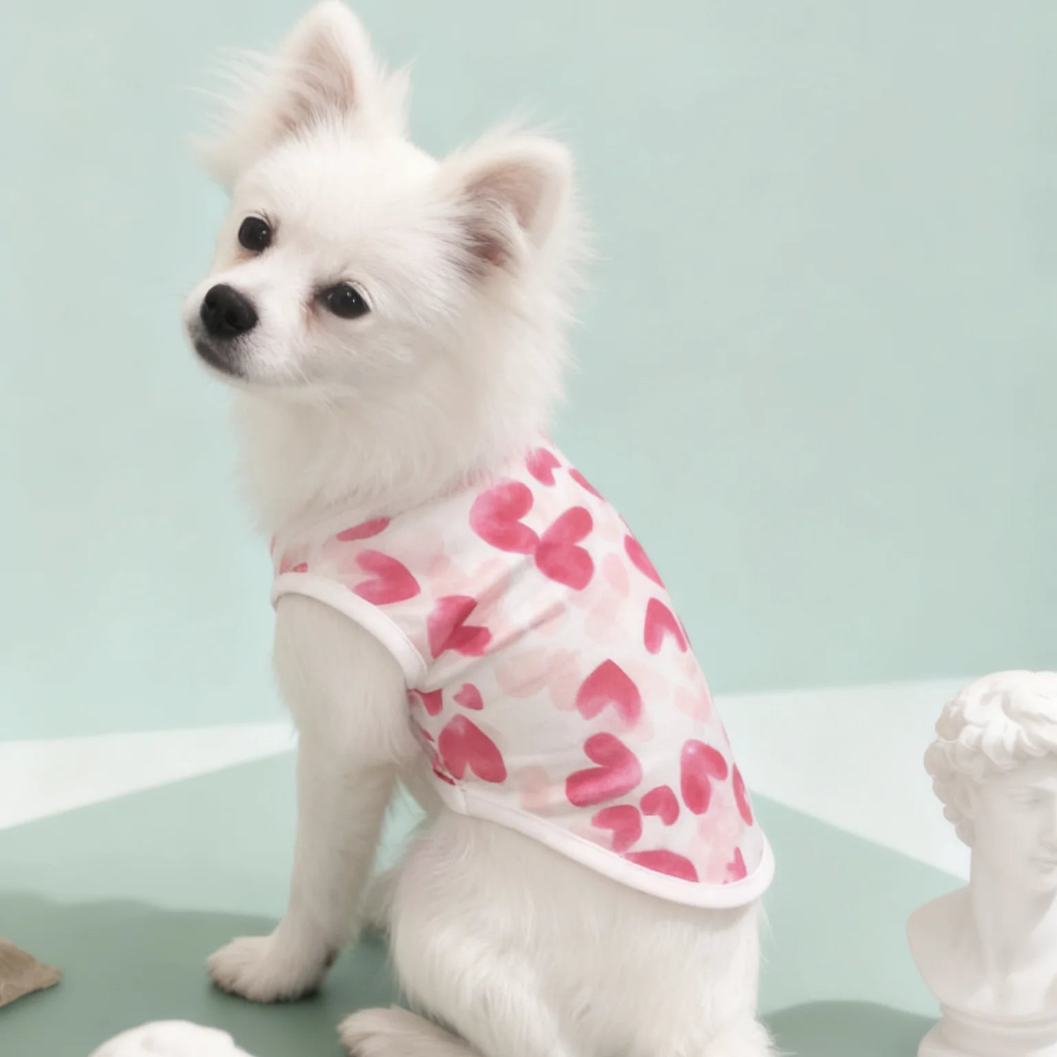 Dog Vest
