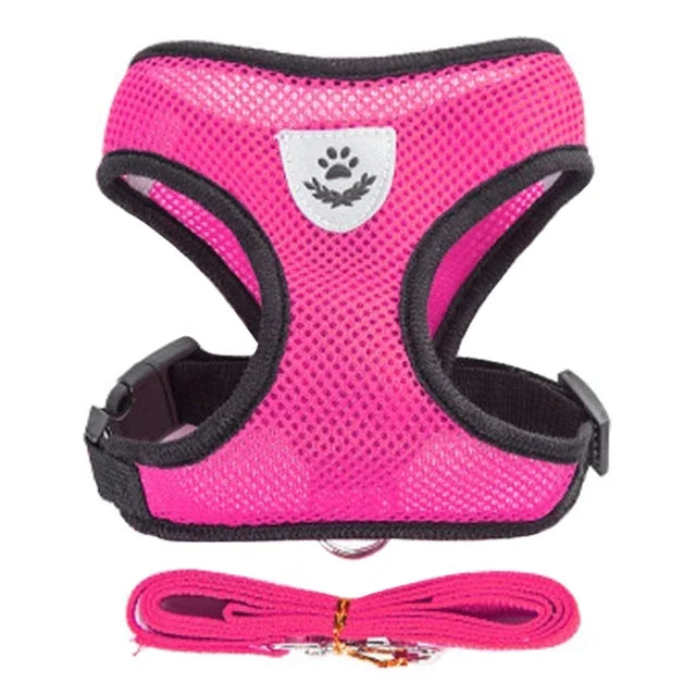 Walking Lead Leash