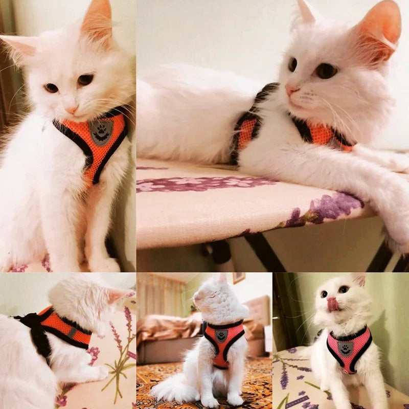 Walking Lead Leash