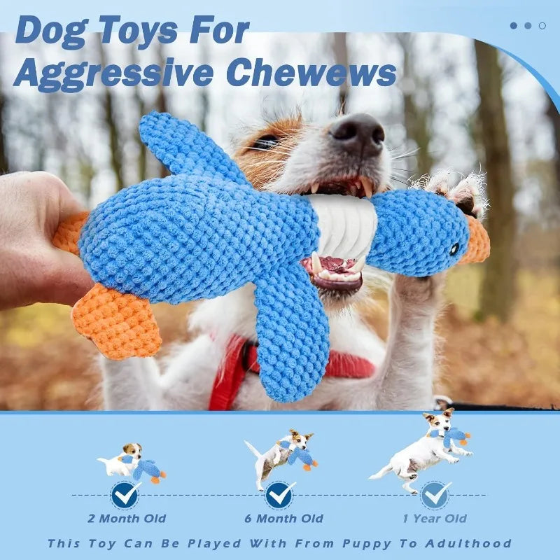Aggressive Chewers