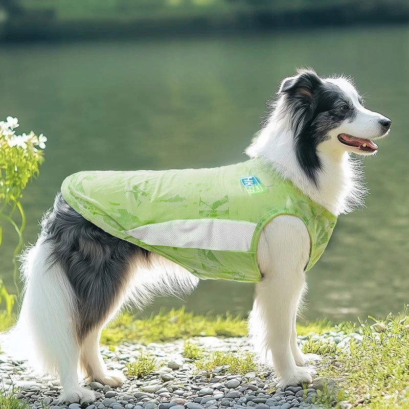Coolings Vest