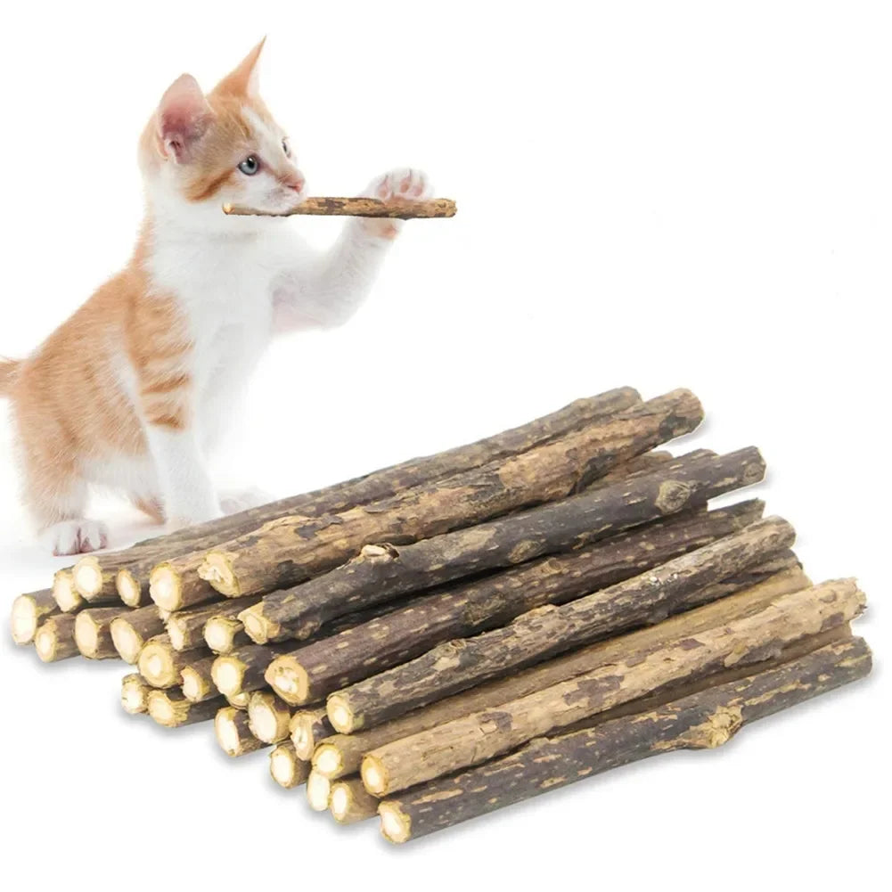 Natural Matatabi Cat