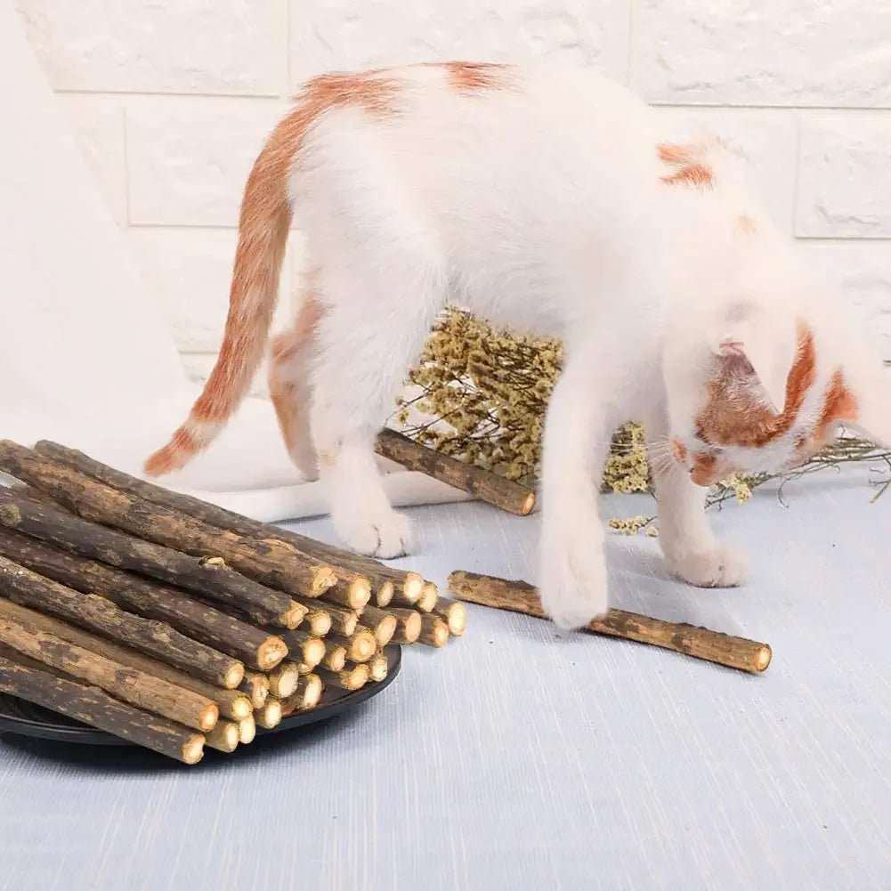 Natural Matatabi Cat