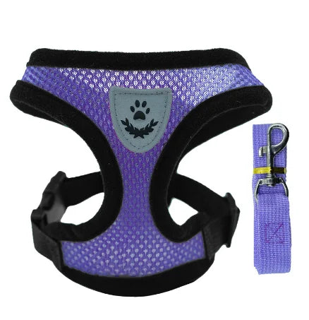 Walking Lead Leash