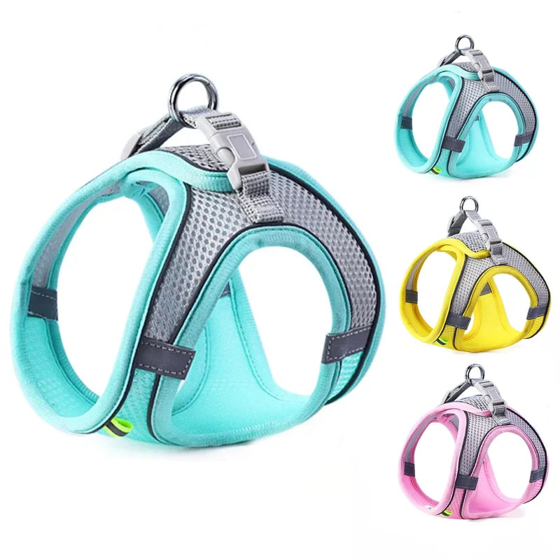 Vest Chest Rope Set