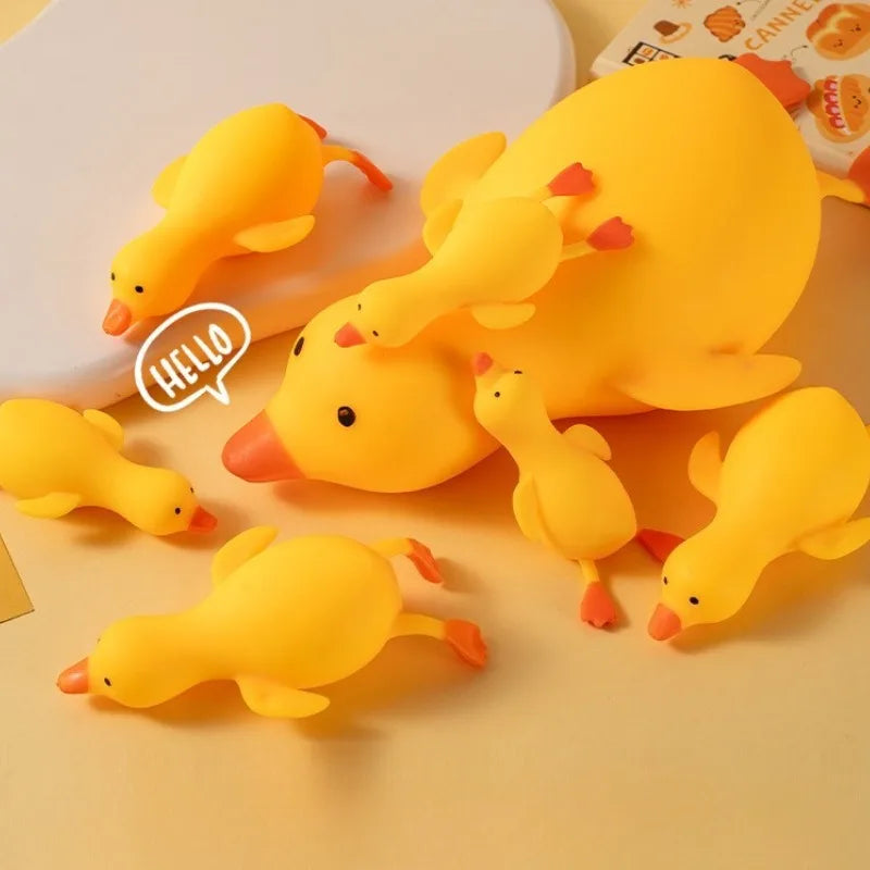 Duck Fidgets Toys
