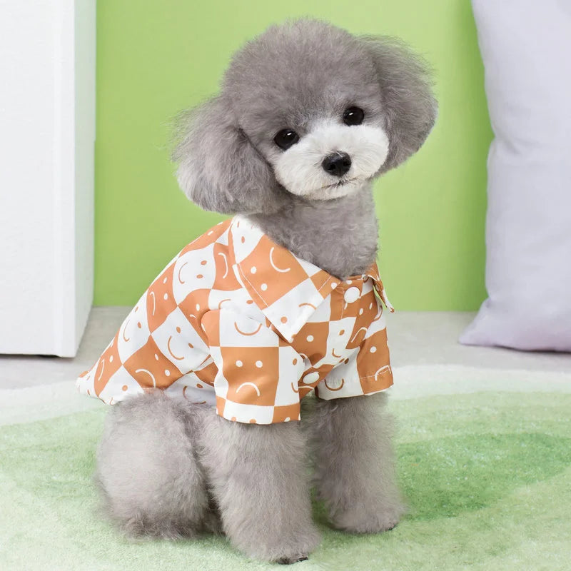 Summer T-shirt
