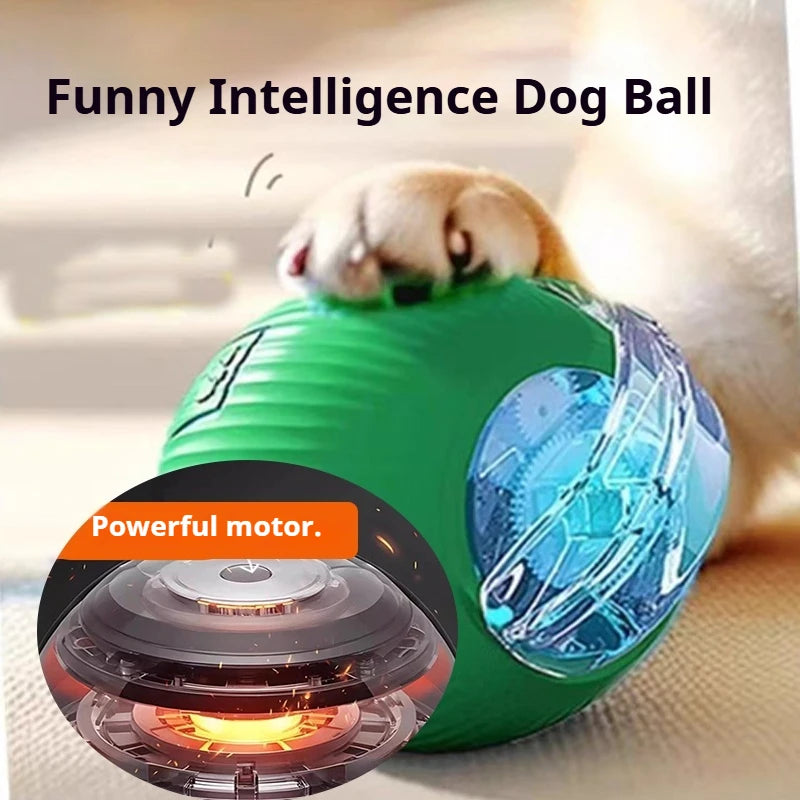 Interactive Ball