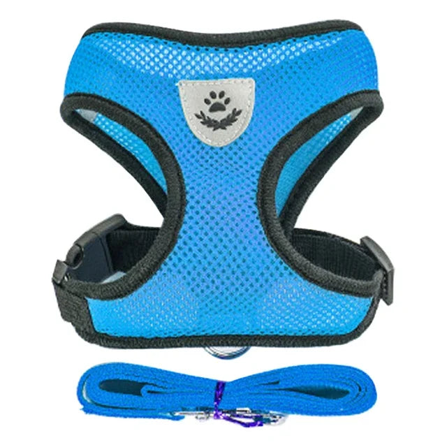 Walking Lead Leash