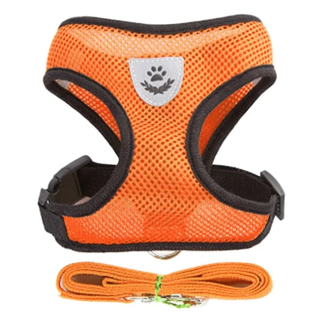 Walking Lead Leash