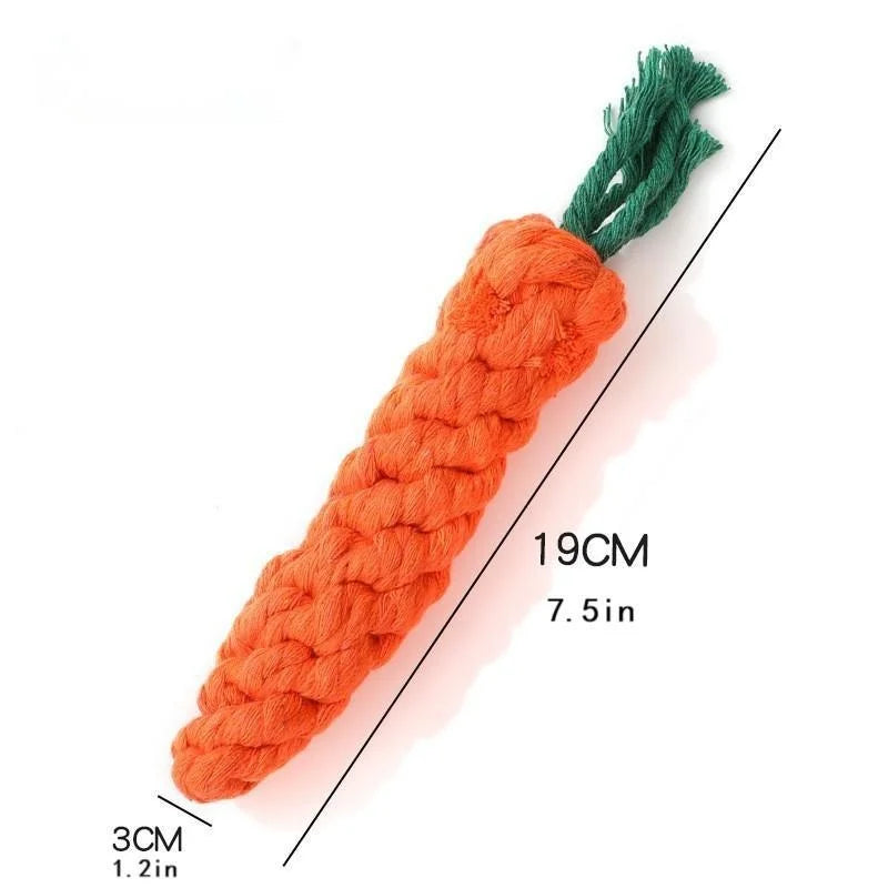 Carrot toy