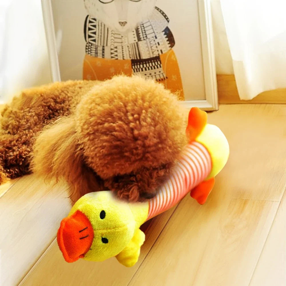 Clora toy