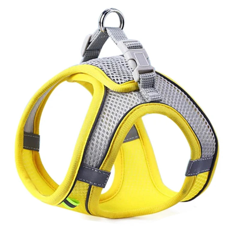 Vest Chest Rope Set