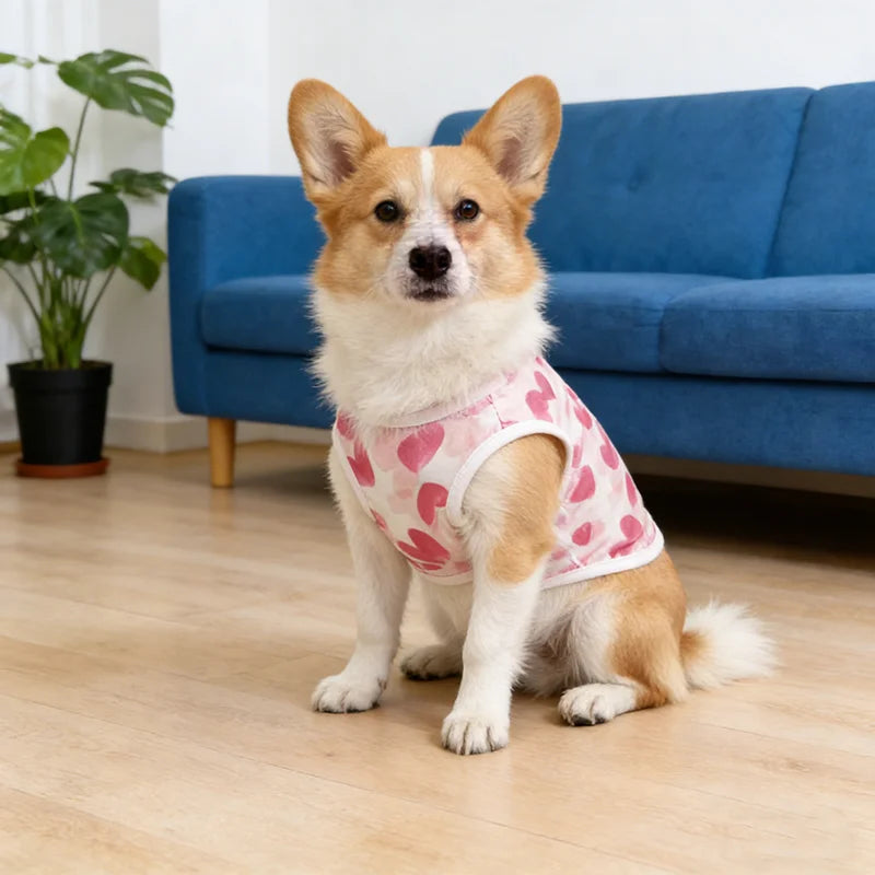 Dog Vest
