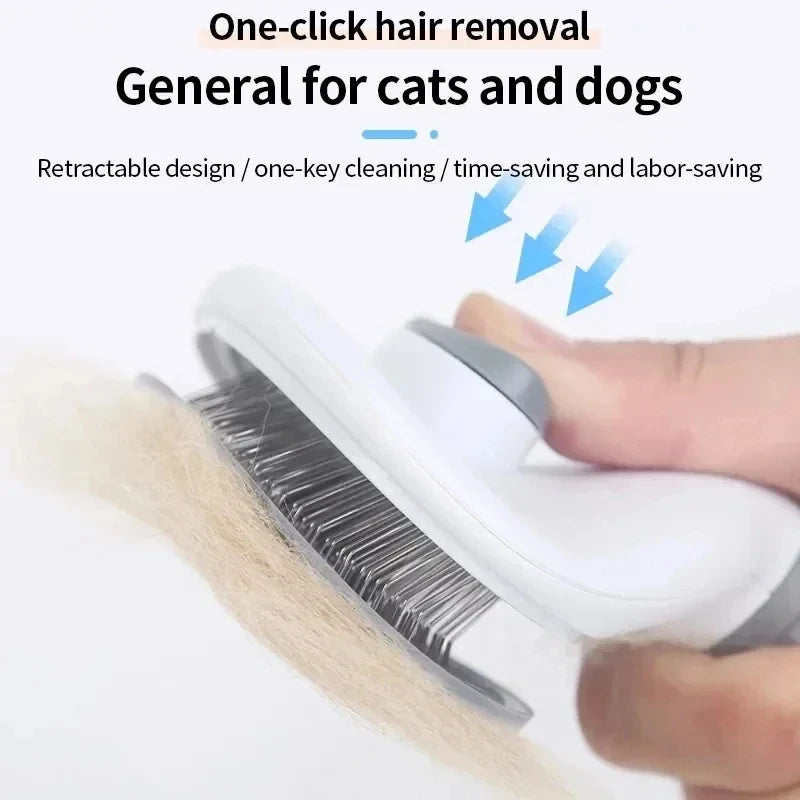 Brush