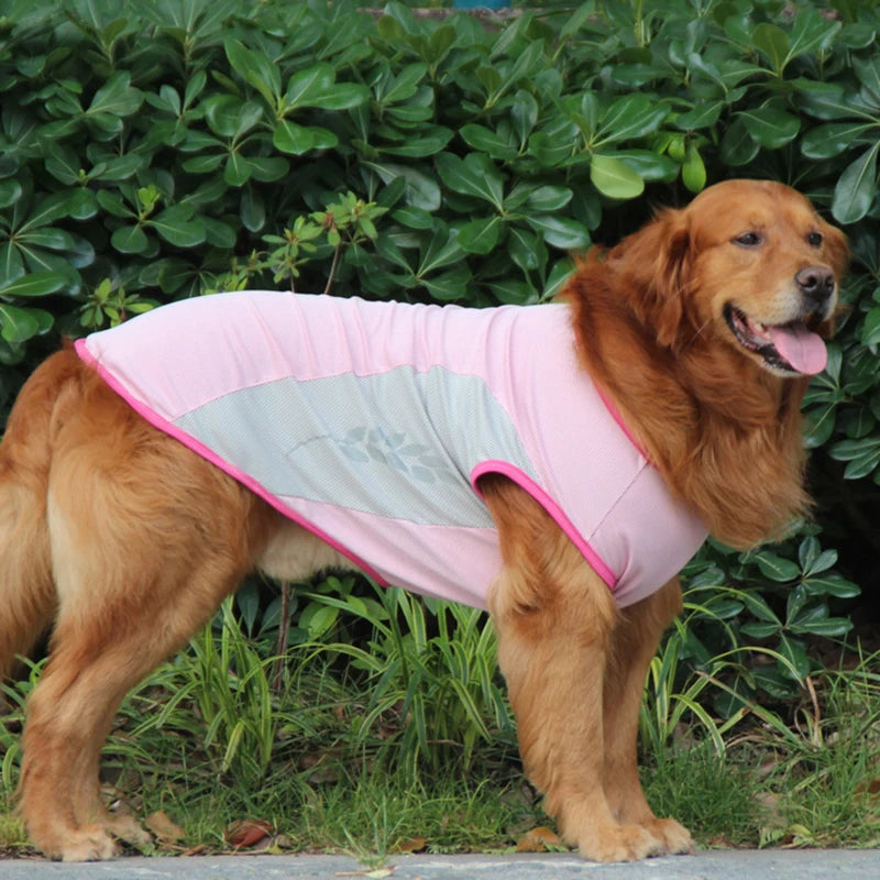 reathable Cooling Reflective Vest