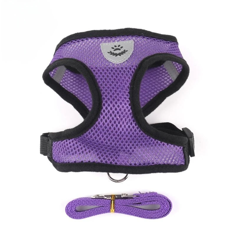 Sika Harness