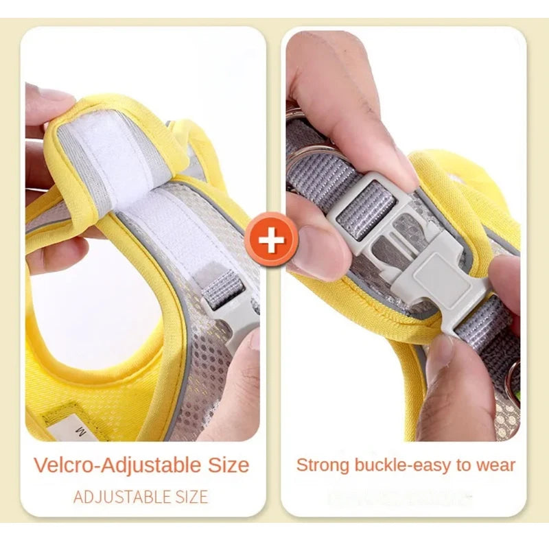 Vest Chest Rope Set