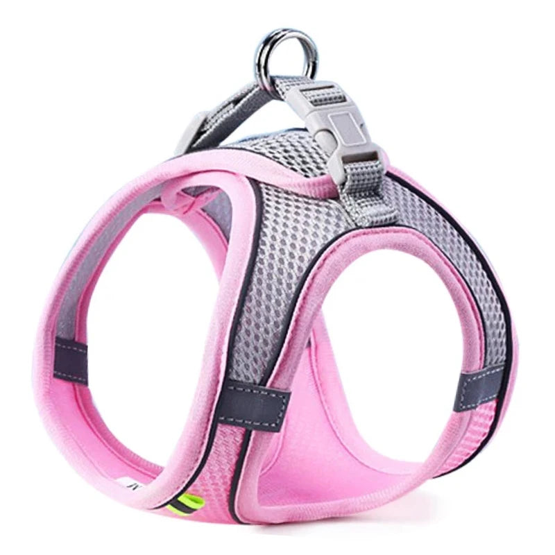 Vest Chest Rope Set