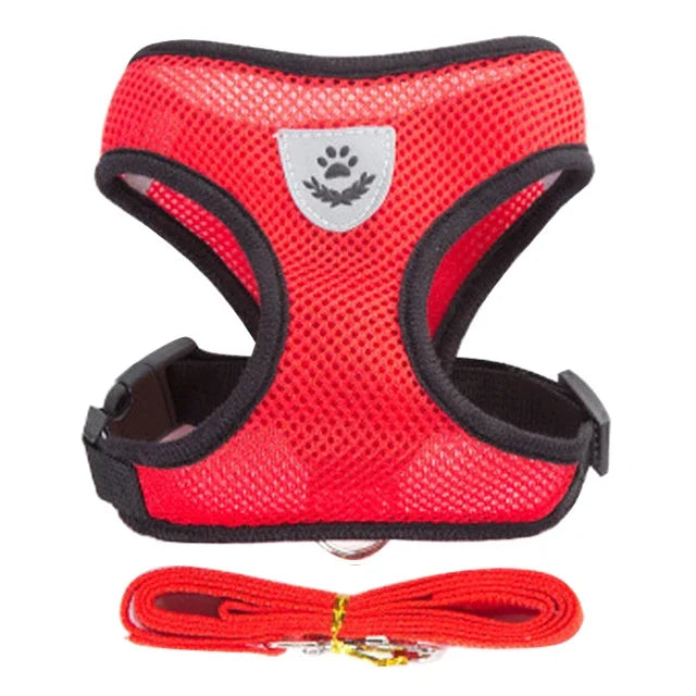 Walking Lead Leash
