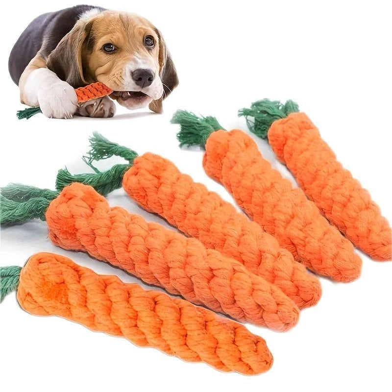 Carrot toy