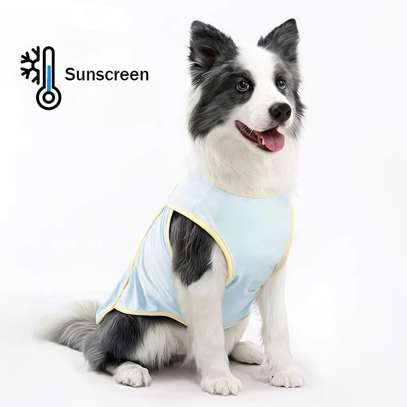 Coolings Vest