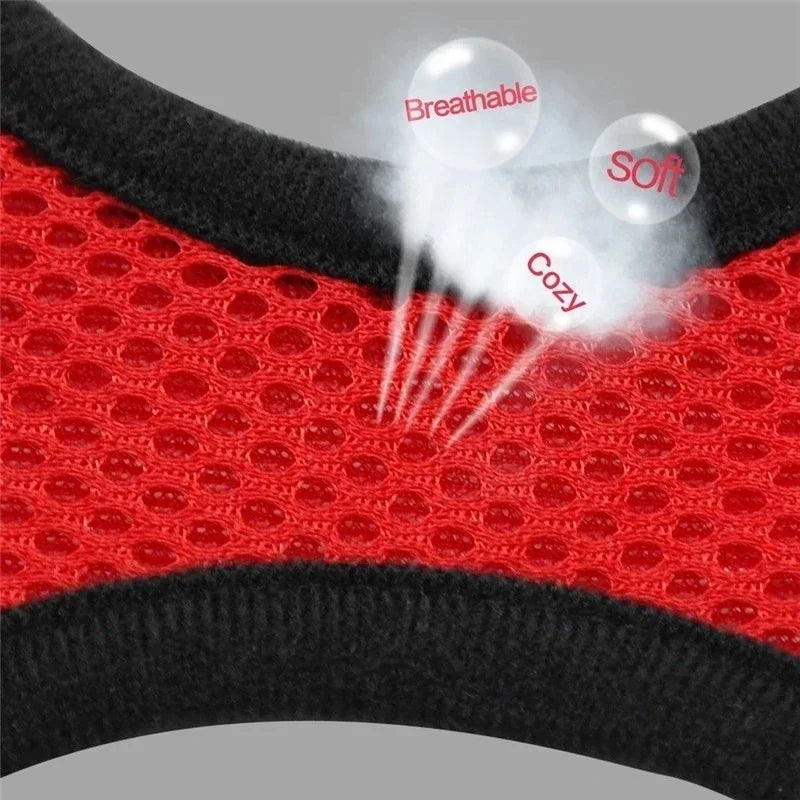 Walking Lead Leash