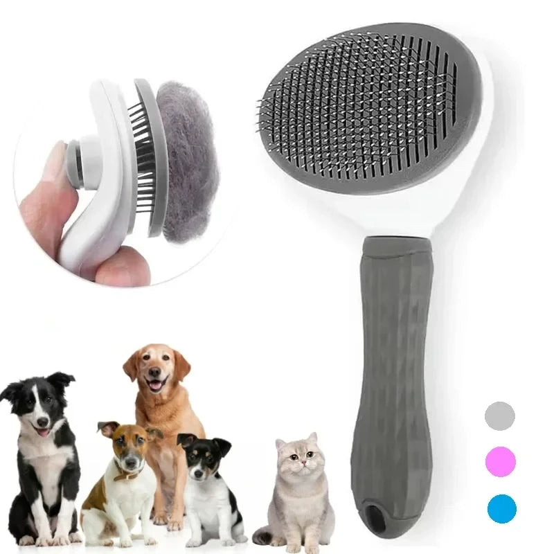 Brush