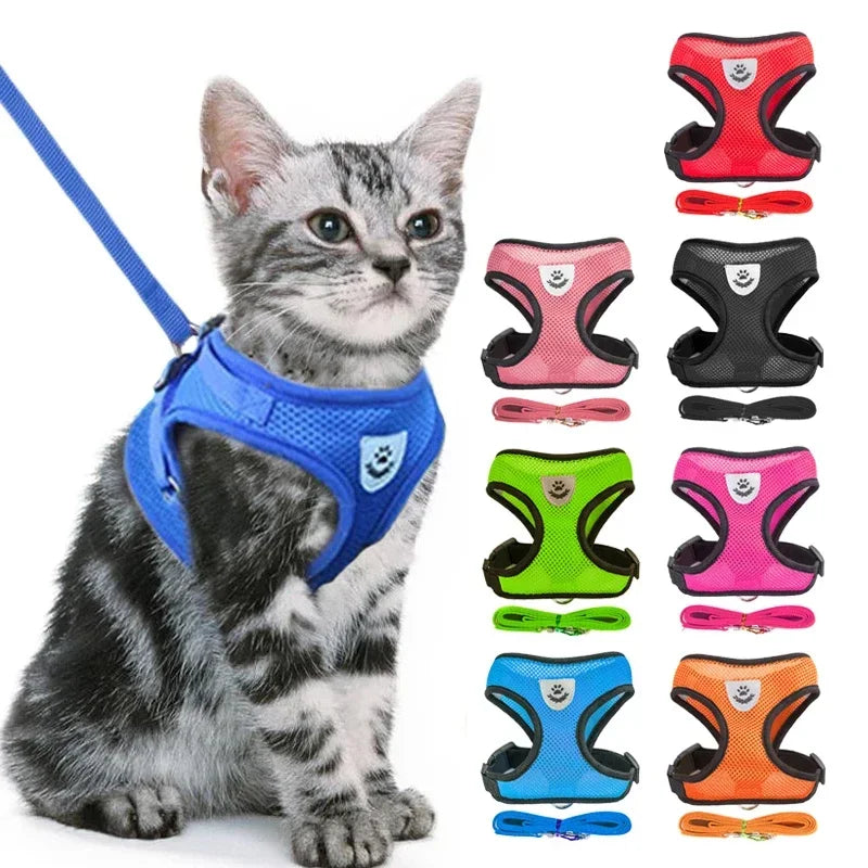 Walking Lead Leash