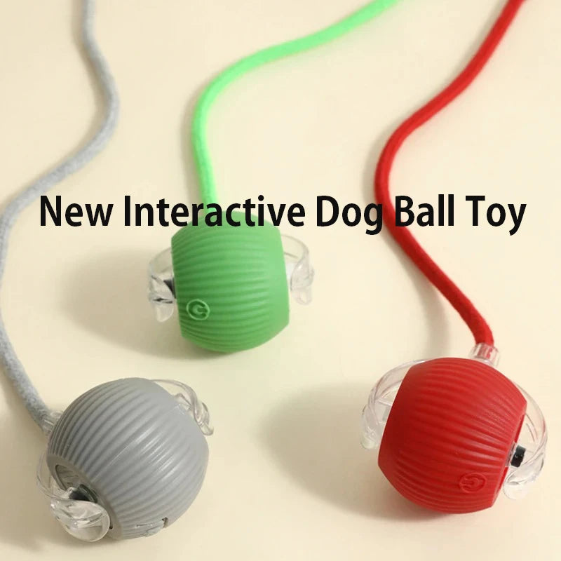 Interactive Ball