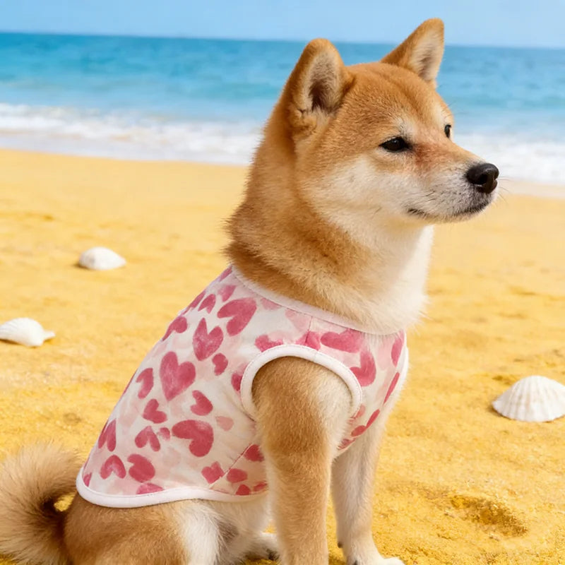 Dog Vest