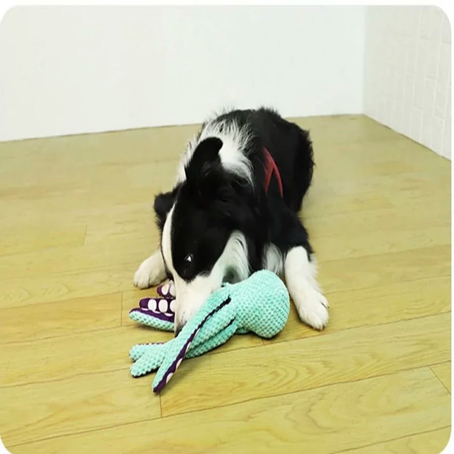 octopus toy