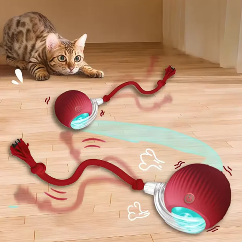 teasing cat ball