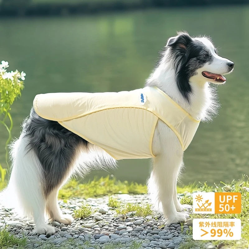 Coolings Vest