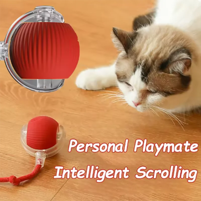 teasing cat ball