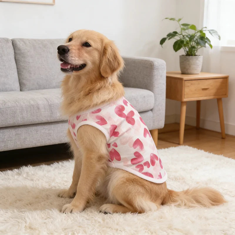 Dog Vest