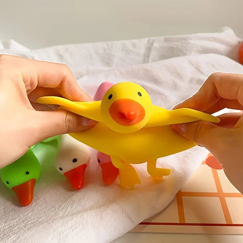 Duck Fidgets Toys