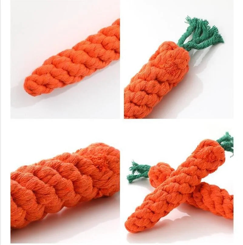 Carrot toy