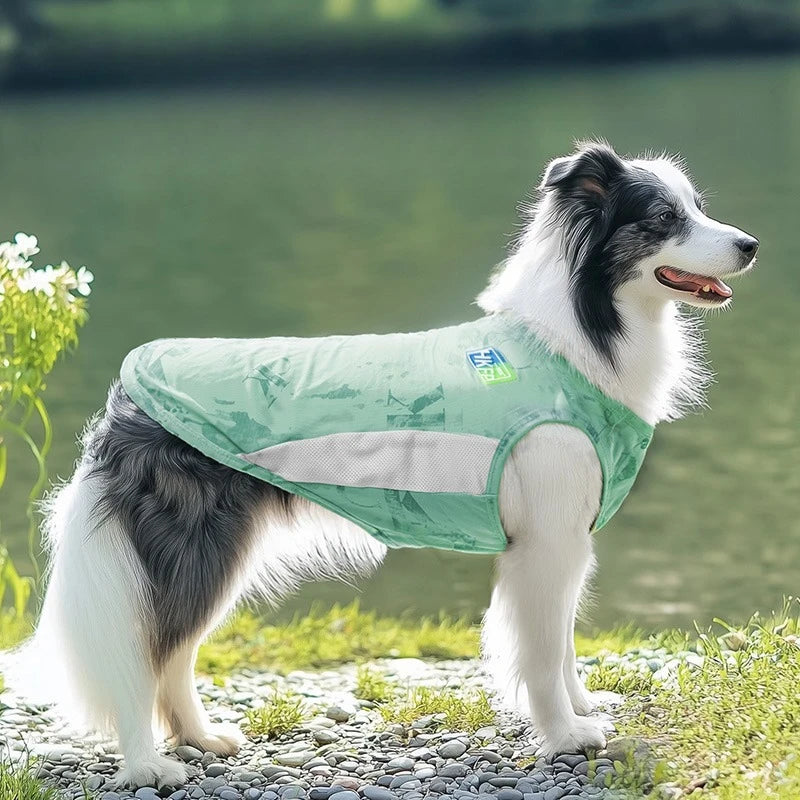 Coolings Vest
