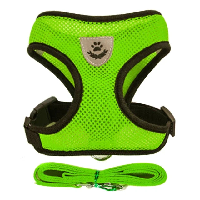Walking Lead Leash